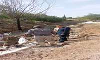 بازدید از پیشرفت فیزیکی پروژه بتنی سازی جوی روستای چوپلی تپه 